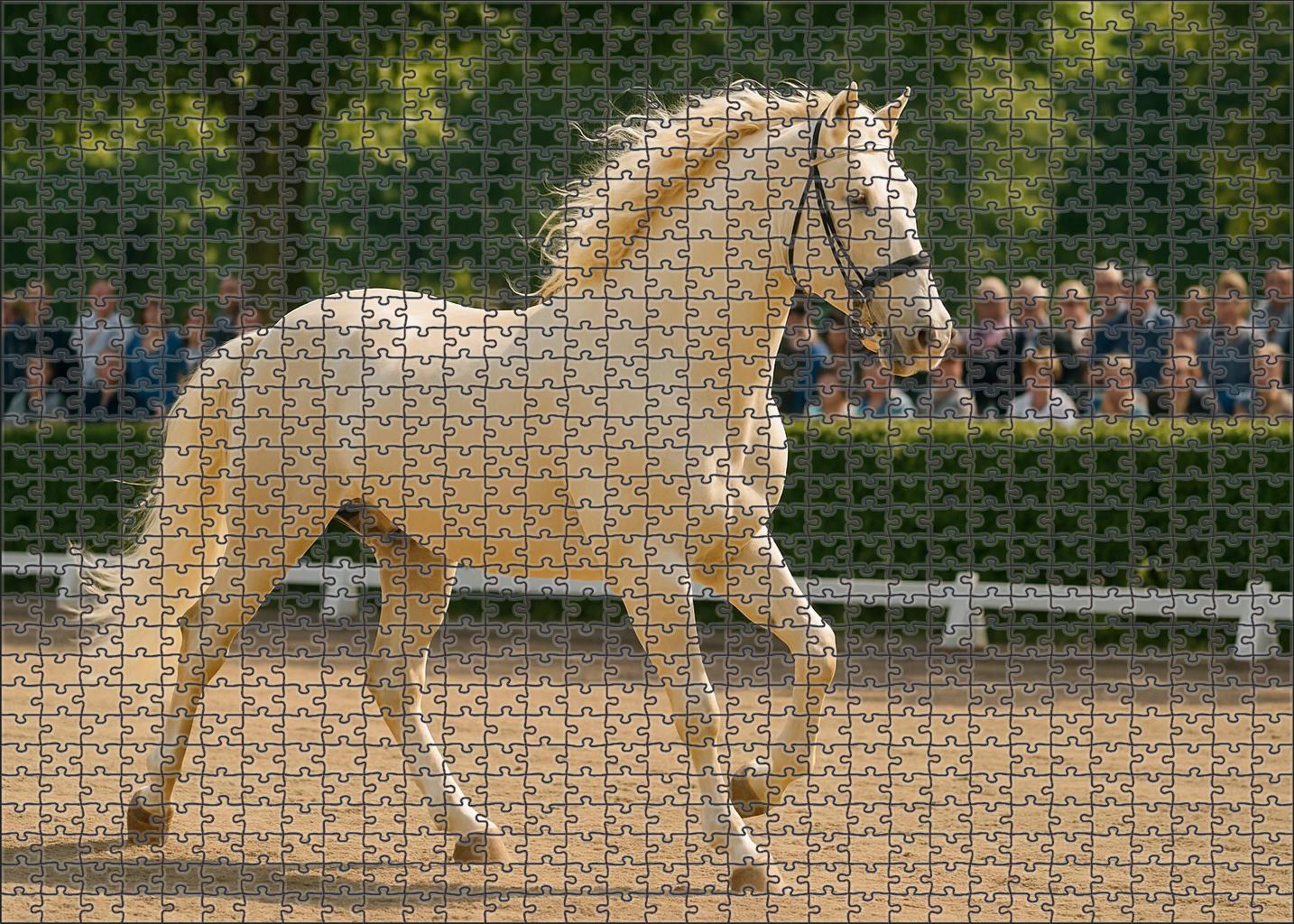 Ivory Whisper Pale Cream Warmblood With Flowing Gait Puzzle For Adults