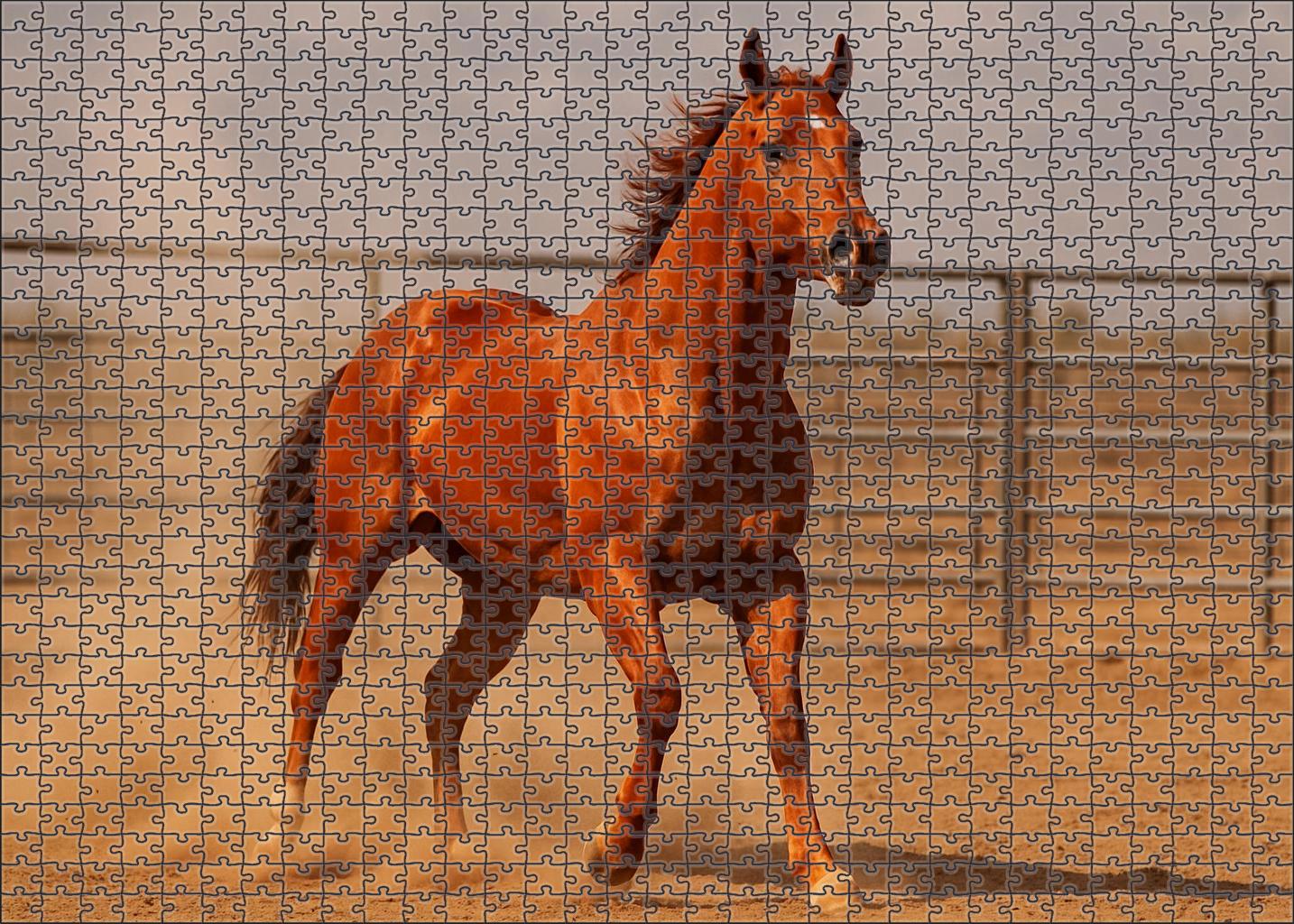 Crimson Flame Fiery Sorrel Quarter Horse Mare Challenging Puzzles