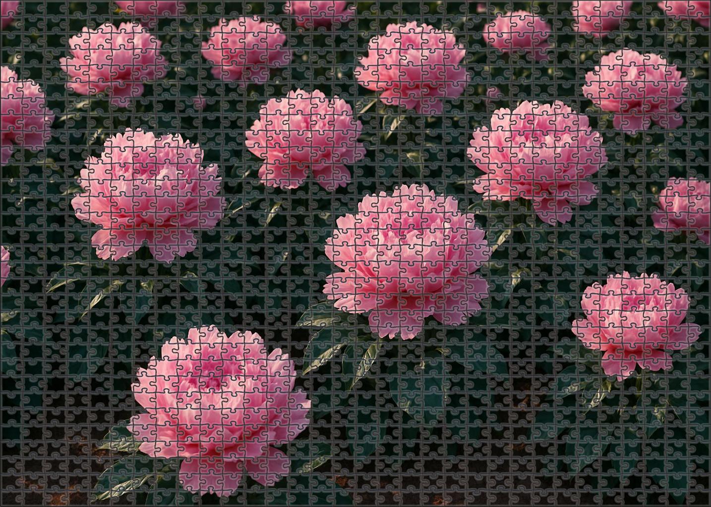 Blushing Peony Garden Bed 200 Piece Puzzle