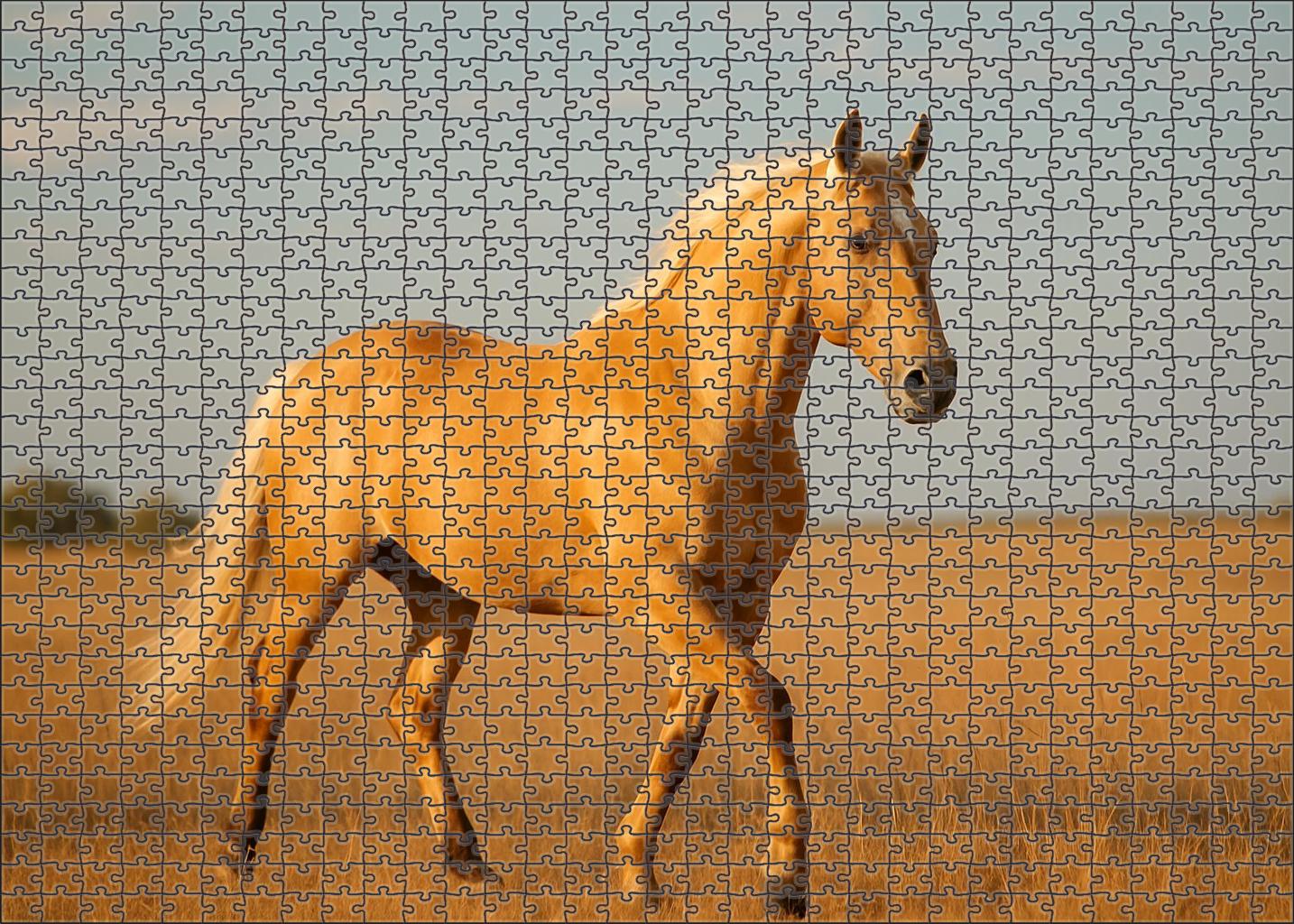 Golden Horizon Radiant Palomino Gelding With Fluid Movement Puzzle For Adults