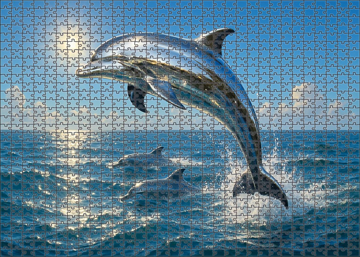 Silverback Dolphin Sleek Marine Mammal With Reflective Back And Playful Social Behavior 200 Piece Puzzle