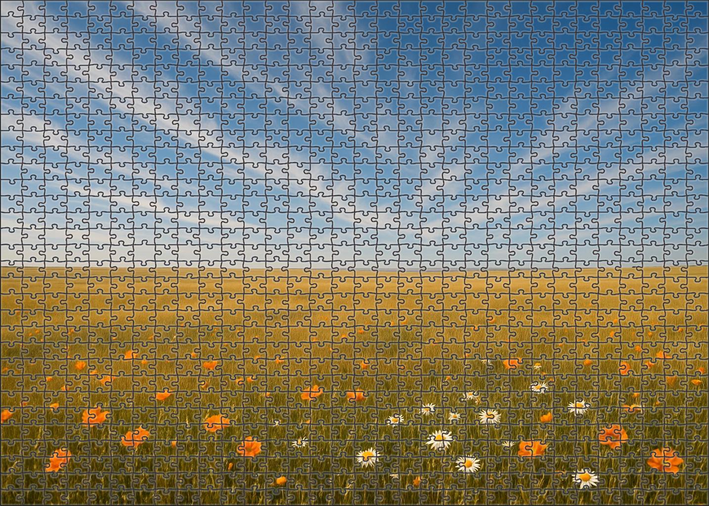 Golden Prairie Wildflower Reserve 300 Piece Puzzle