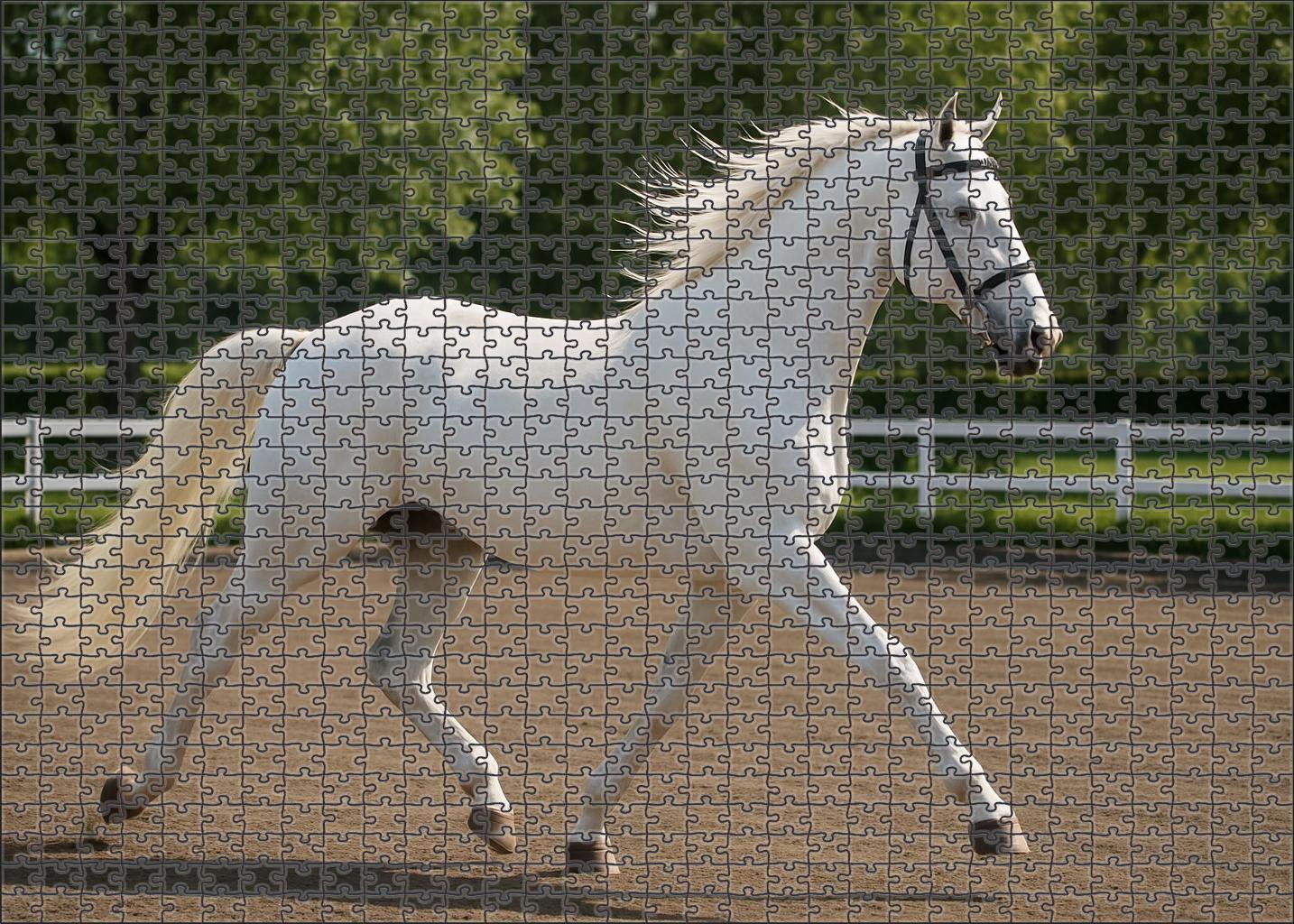 Pearl Breeze Elegant White Warmblood Mare With Fluid Dressage Motion 50 Piece Puzzle