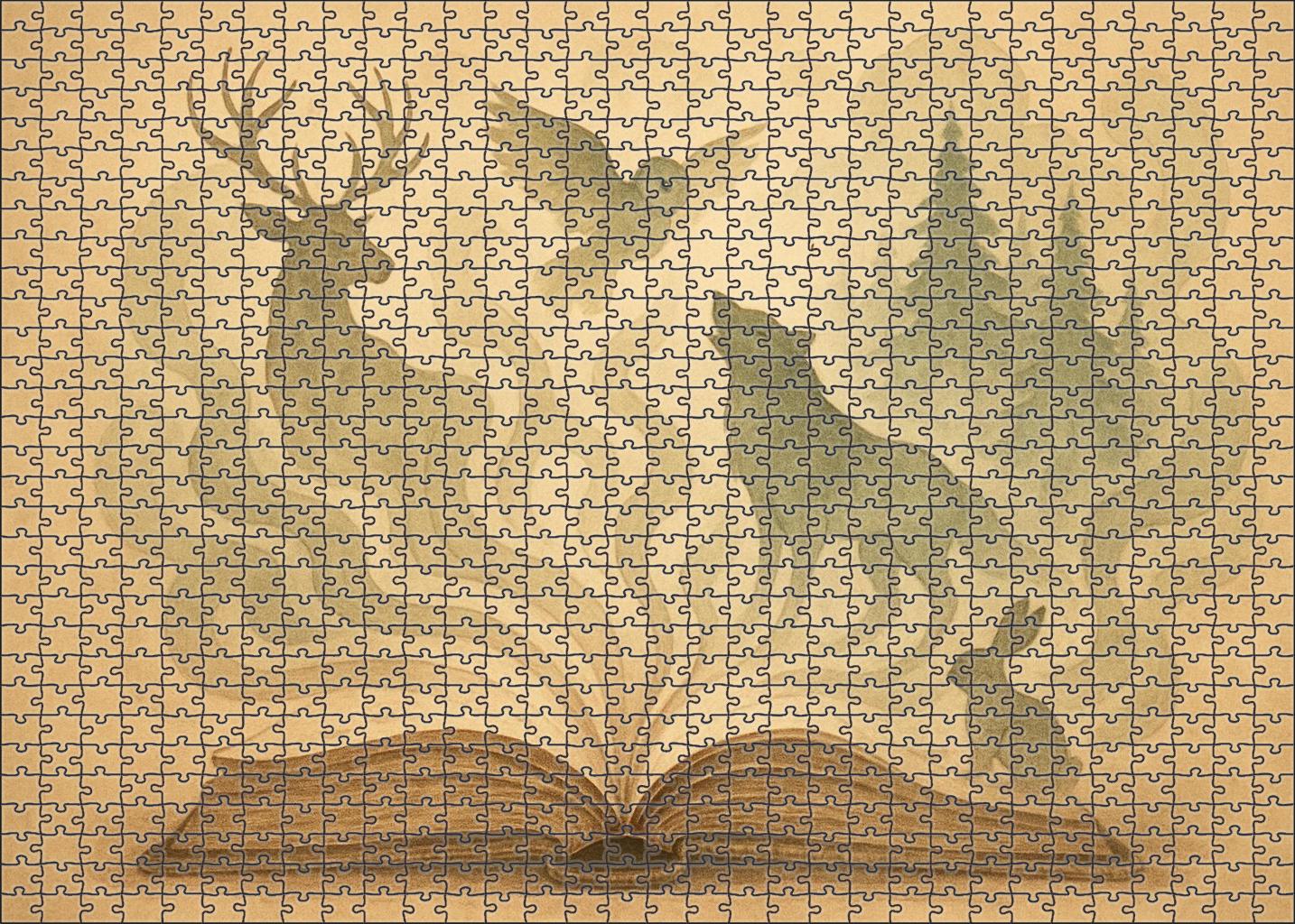 The Library Of Whispering Pages 50 Piece Puzzle
