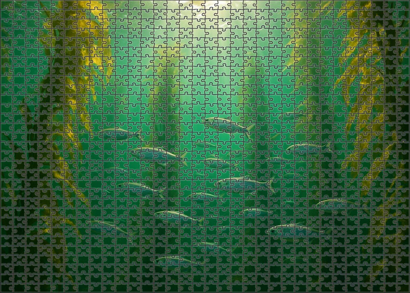 Sunlit Kelp Canopy Swirling Fronds In Shallow Epipelagic Flow 50 Piece Puzzle