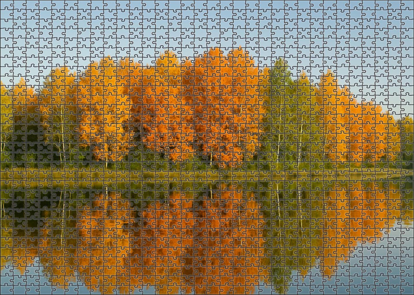 Serene Lake Hollow Puzzle For Kids