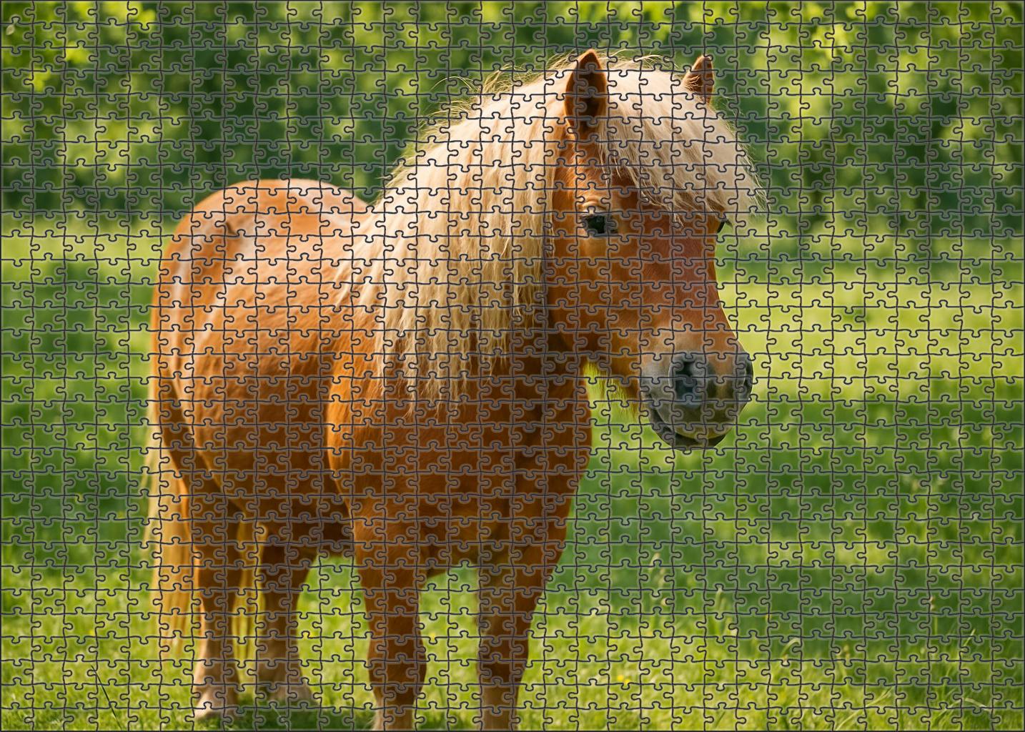 Golden Harvest Haflinger Charming Chestnut Pony With Flaxen Mane Large Format Puzzle