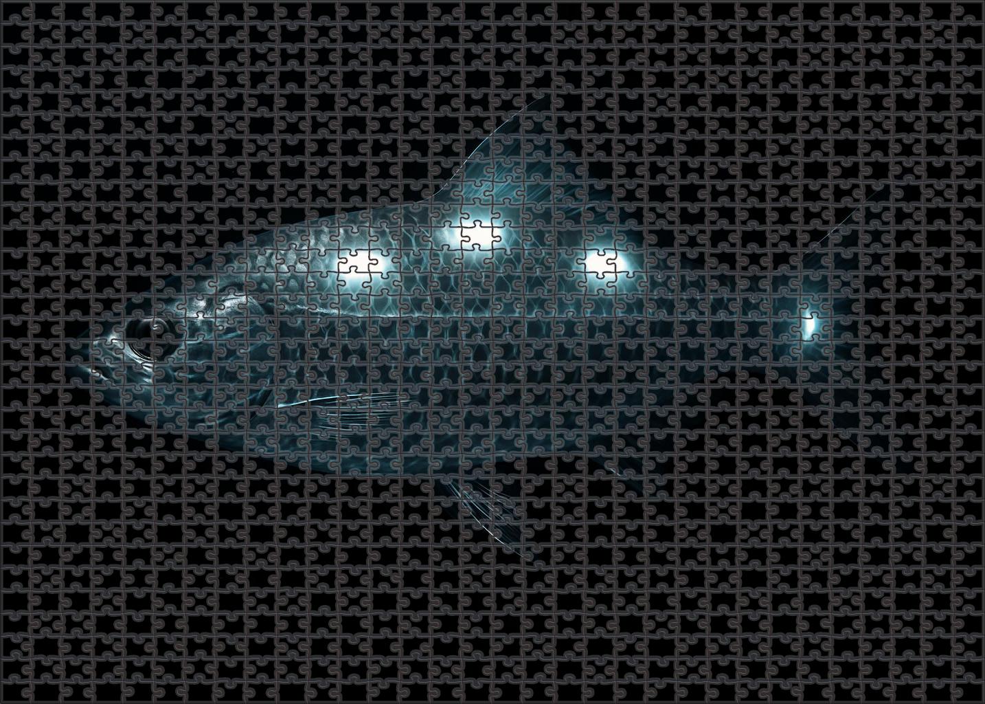 Silverback Ripplefish Deep-water Dweller With Hypnotic Scale Patterns Puzzle Fun