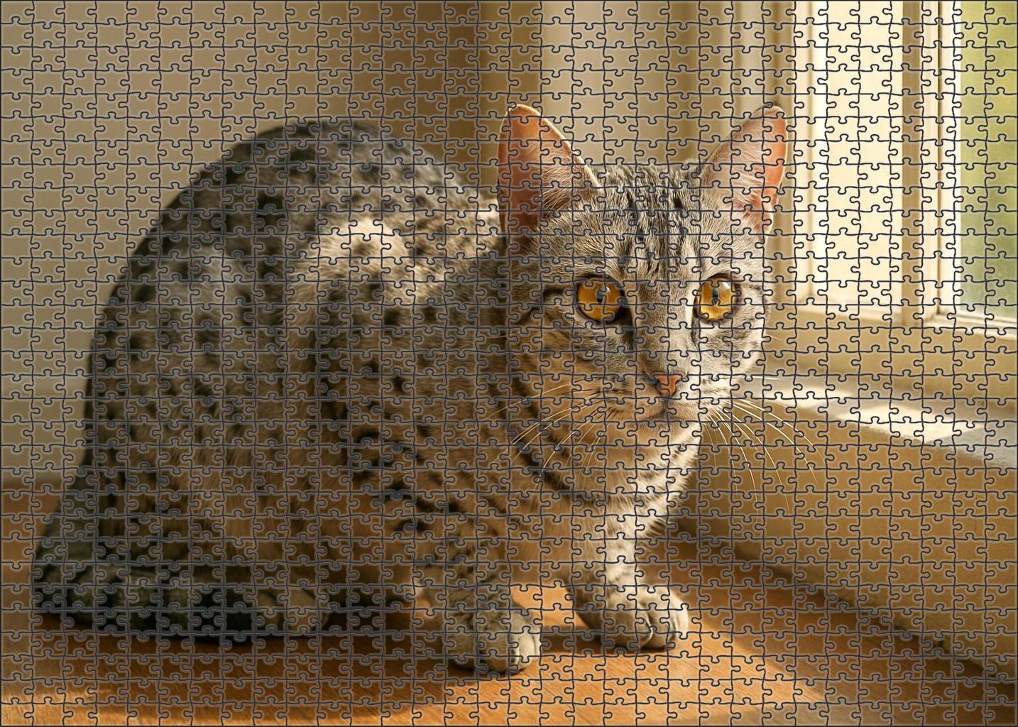 Silver Ripple Shimmering Silver-spotted Shorthaired With Curious Nature 200 Piece Puzzle