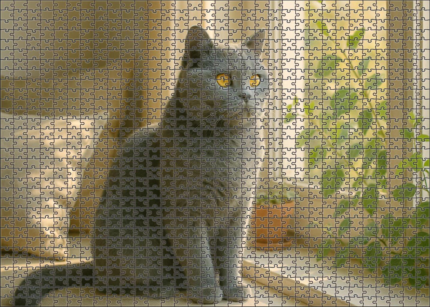 Velvet Nimbus Plush Blue Coat With Serene Demeanor Puzzle Fun