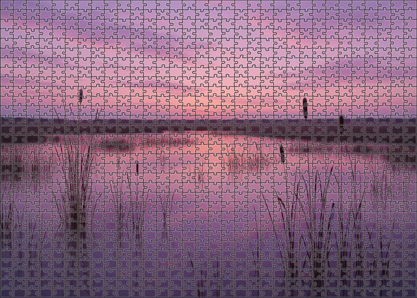 Serene Marshland Dusk Puzzle Collection