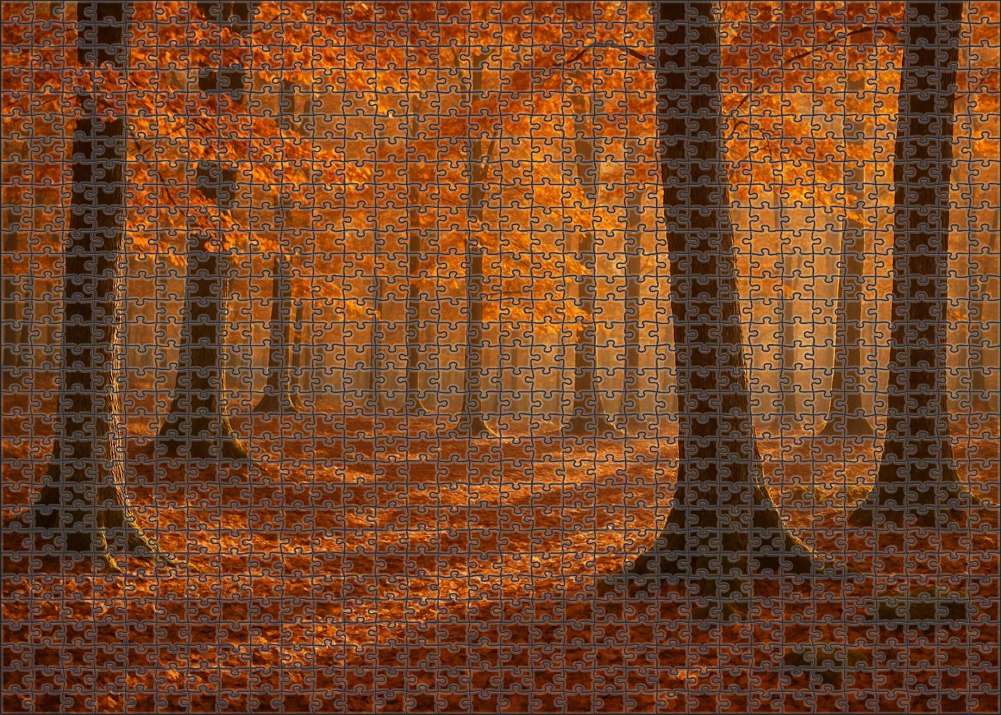 Silent Amber Grove Unique Puzzle Design