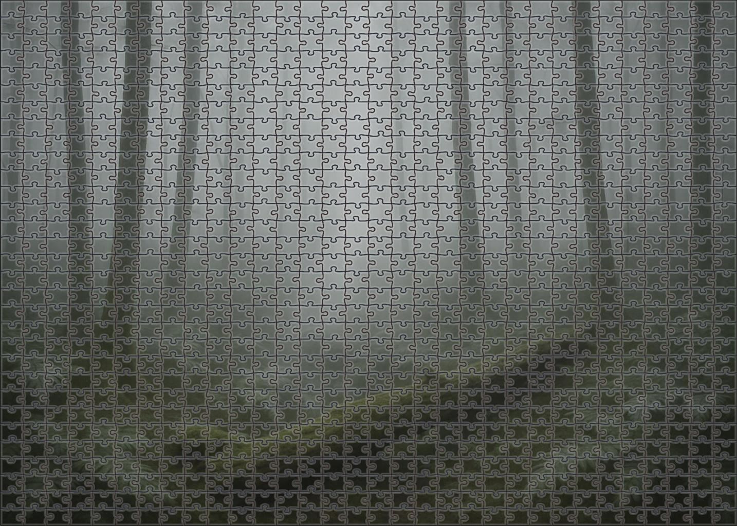 Misty Hollow Thicket Easy Puzzles