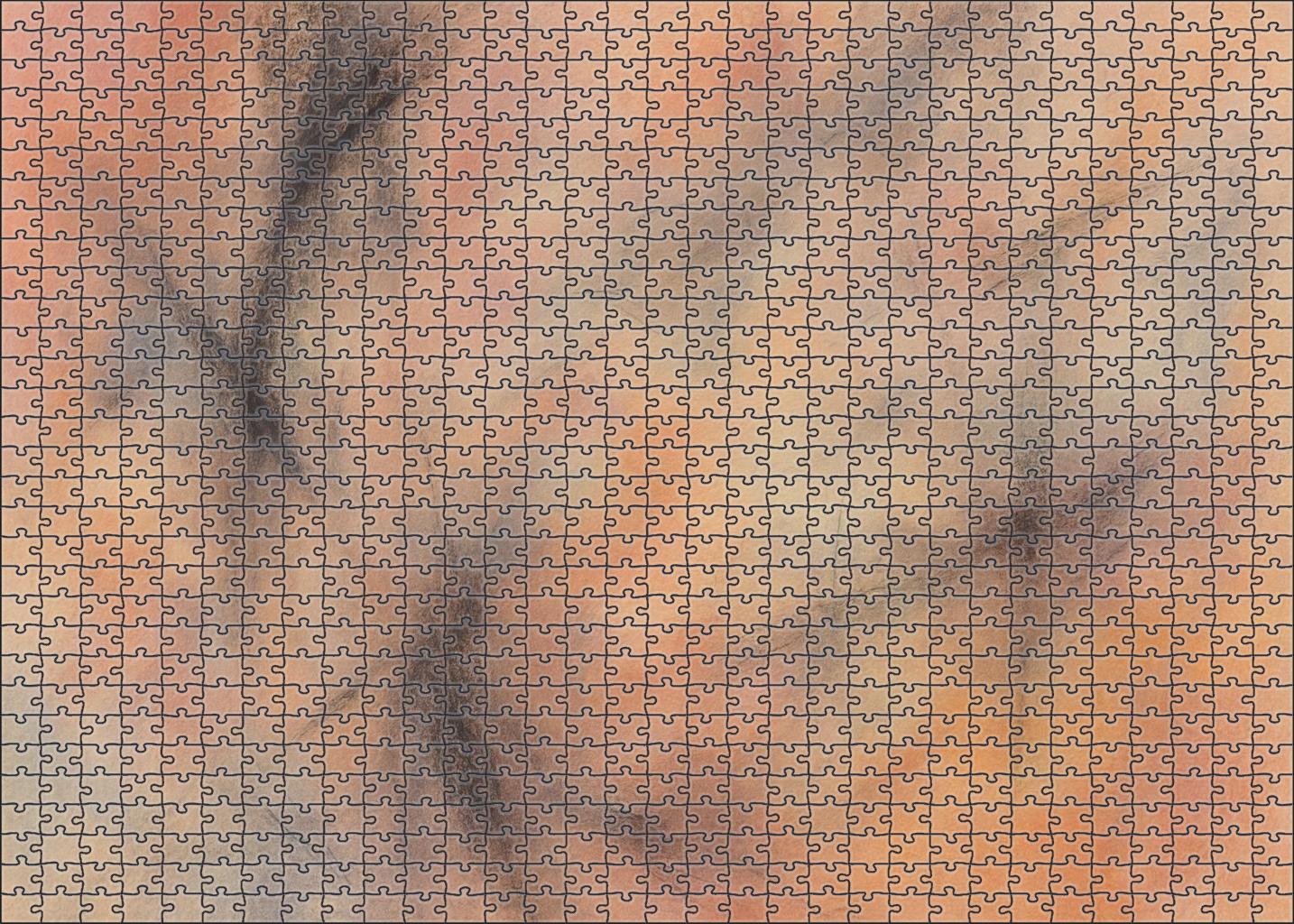 Temporal Canvas Of Fleeting Moments Challenging Puzzles