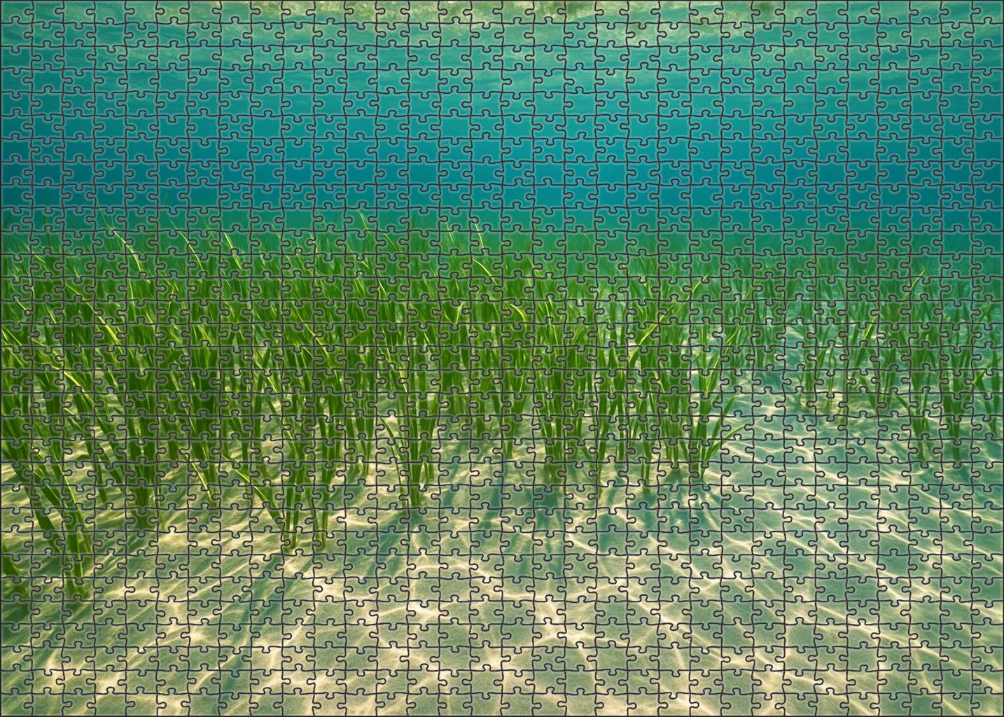 Shimmering Tide Meadow Puzzle For Adults