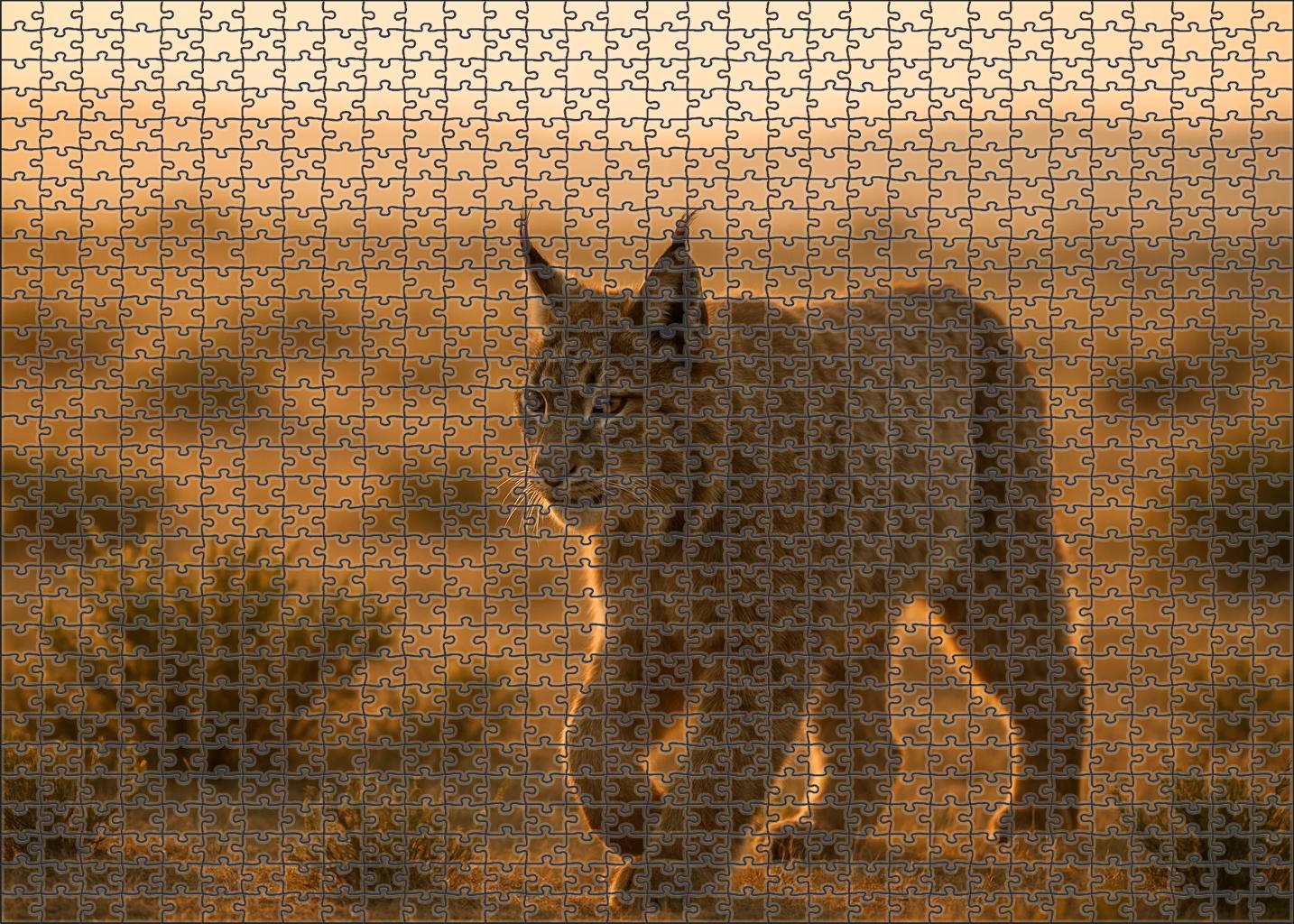 Velvet-tufted Ground Roamer Large Terrestrial Mammal With Soft Ear Tufts Puzzle Fun