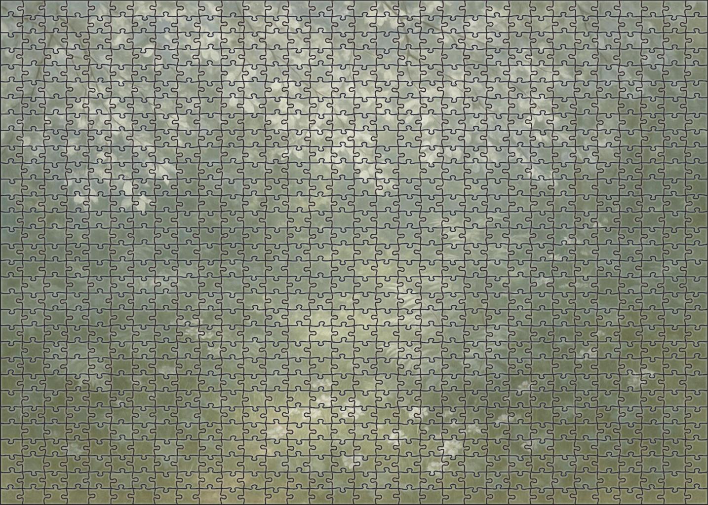 Silver Leafed Hollow 300 Piece Puzzle