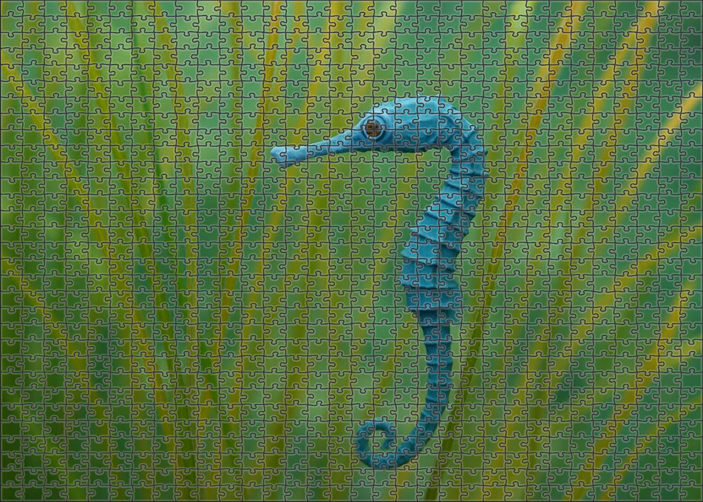 Sapphire Pipehorse Delicate Seahorse Relative With Elongated Snout And Camouflaged Armor 200 Piece Puzzle