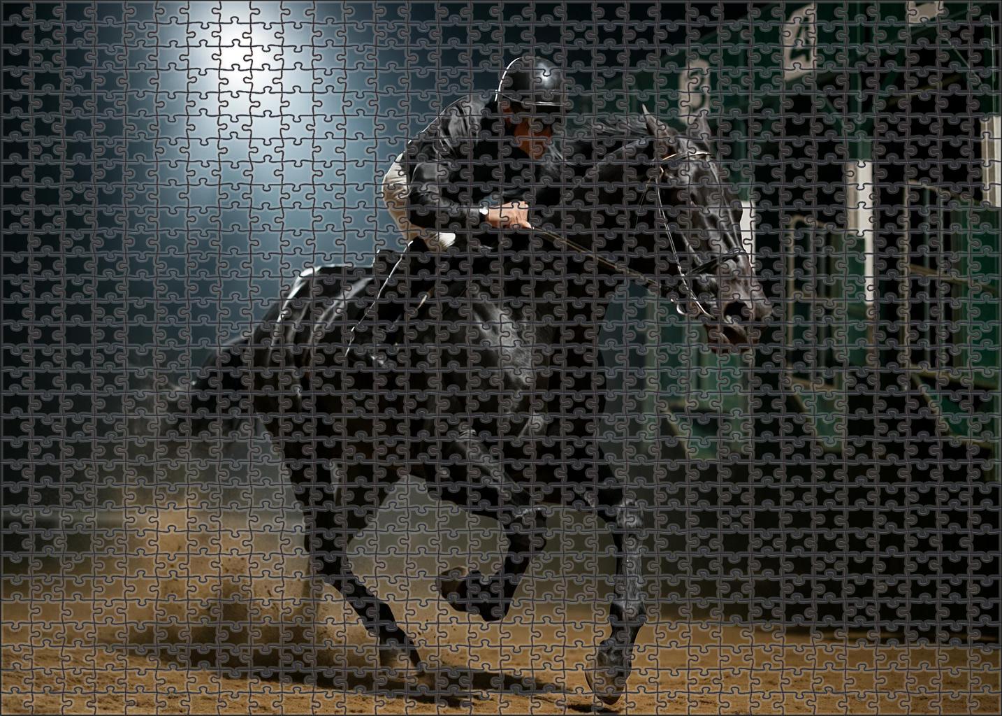 Shadow Lance Sleek Midnight Black Thoroughbred With Explosive Speed 50 Piece Puzzle