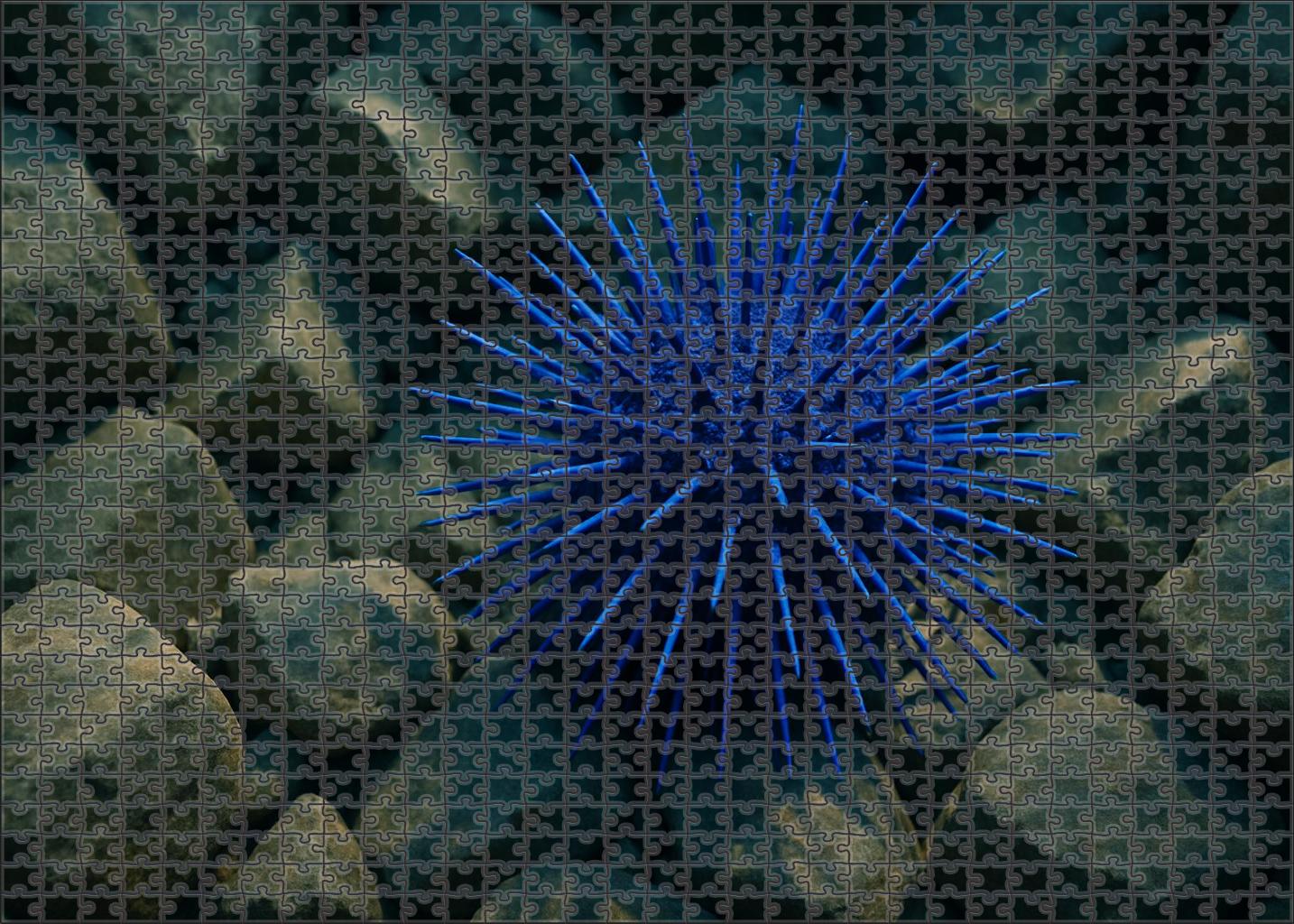 Azure Spine Urchin 20 Piece Puzzle