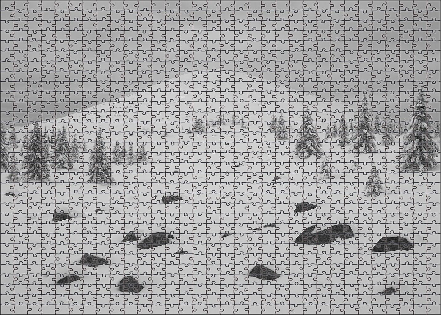 Silent Snowfield Summit 500 Piece Puzzle