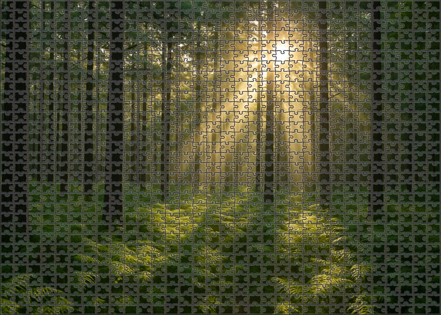 Whispering Pine Glade 50 Piece Puzzle