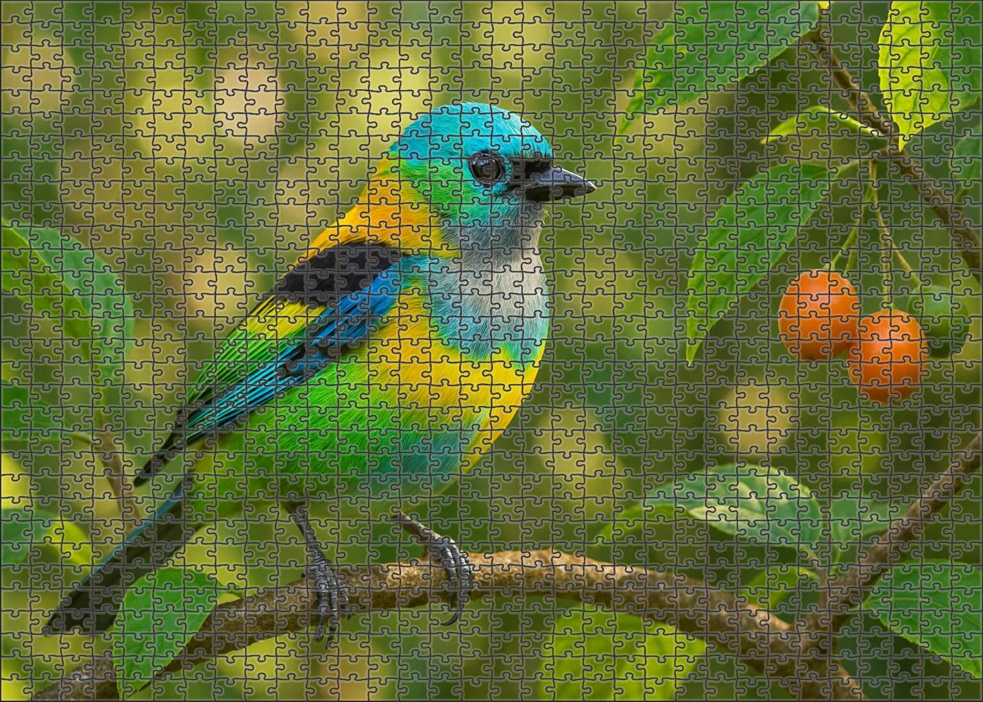 Silver-throated Tanager Forest's Mosaic Easy Puzzles