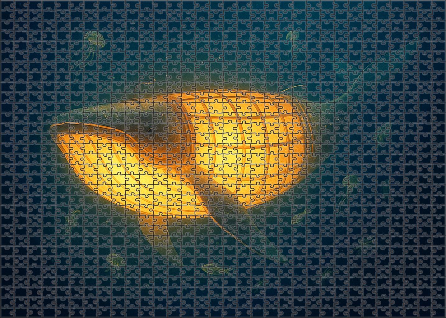 The Lantern Whale's Journey Puzzle Collection