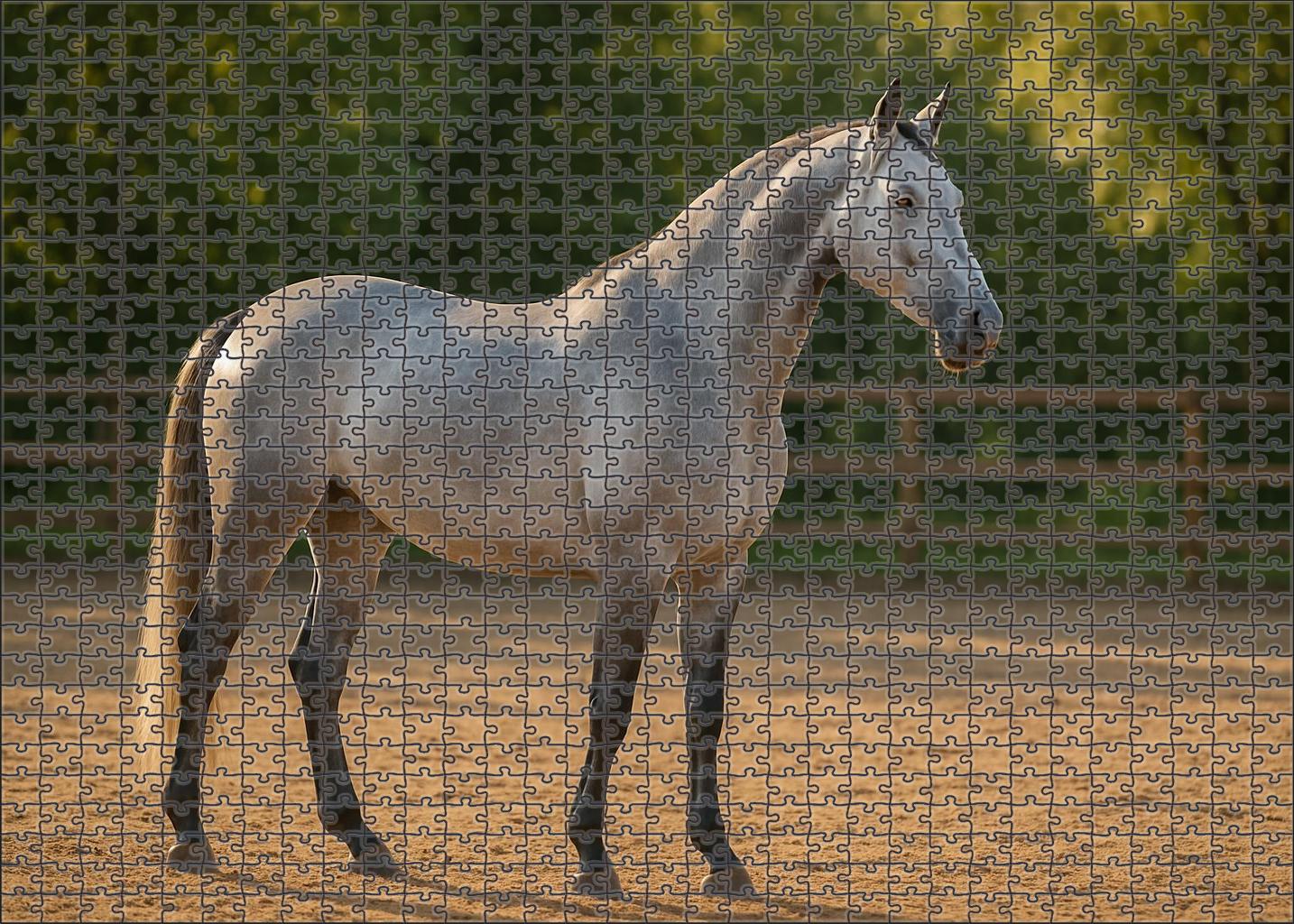 Twilight Pearl Delicate Silver Gray Warmblood Mare 500 Piece Puzzle