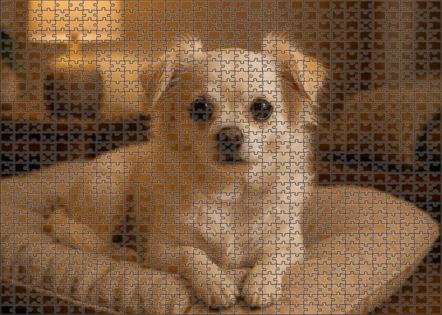 Ivory Mist Puzzle For Kids