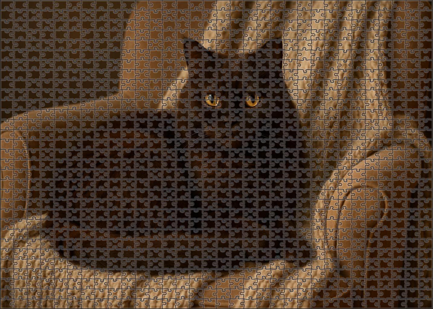 Sable Veil Plush Dark Brown Cat With Mysterious Charm 20 Piece Puzzle