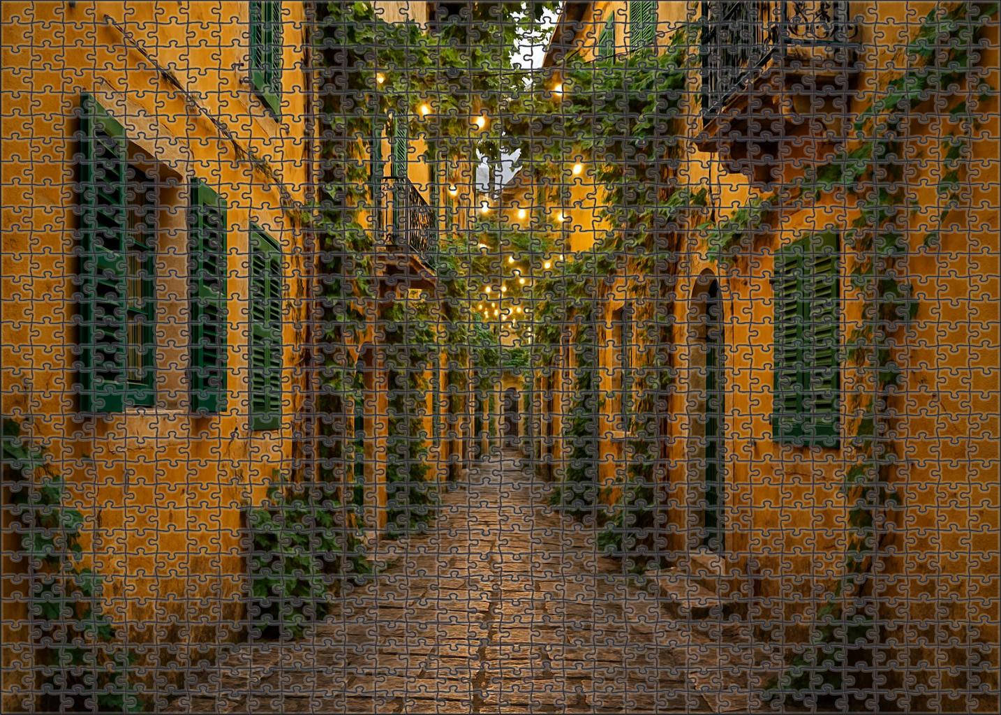 Saffron Alley 300 Piece Puzzle