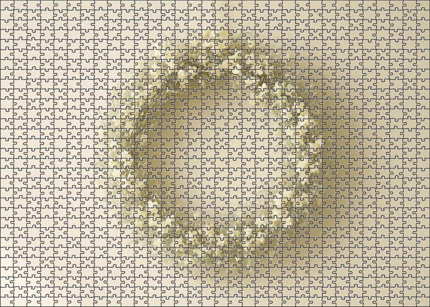 Ivory Lace Wreath Elegant Whites With Lacy Foliage Family Puzzles