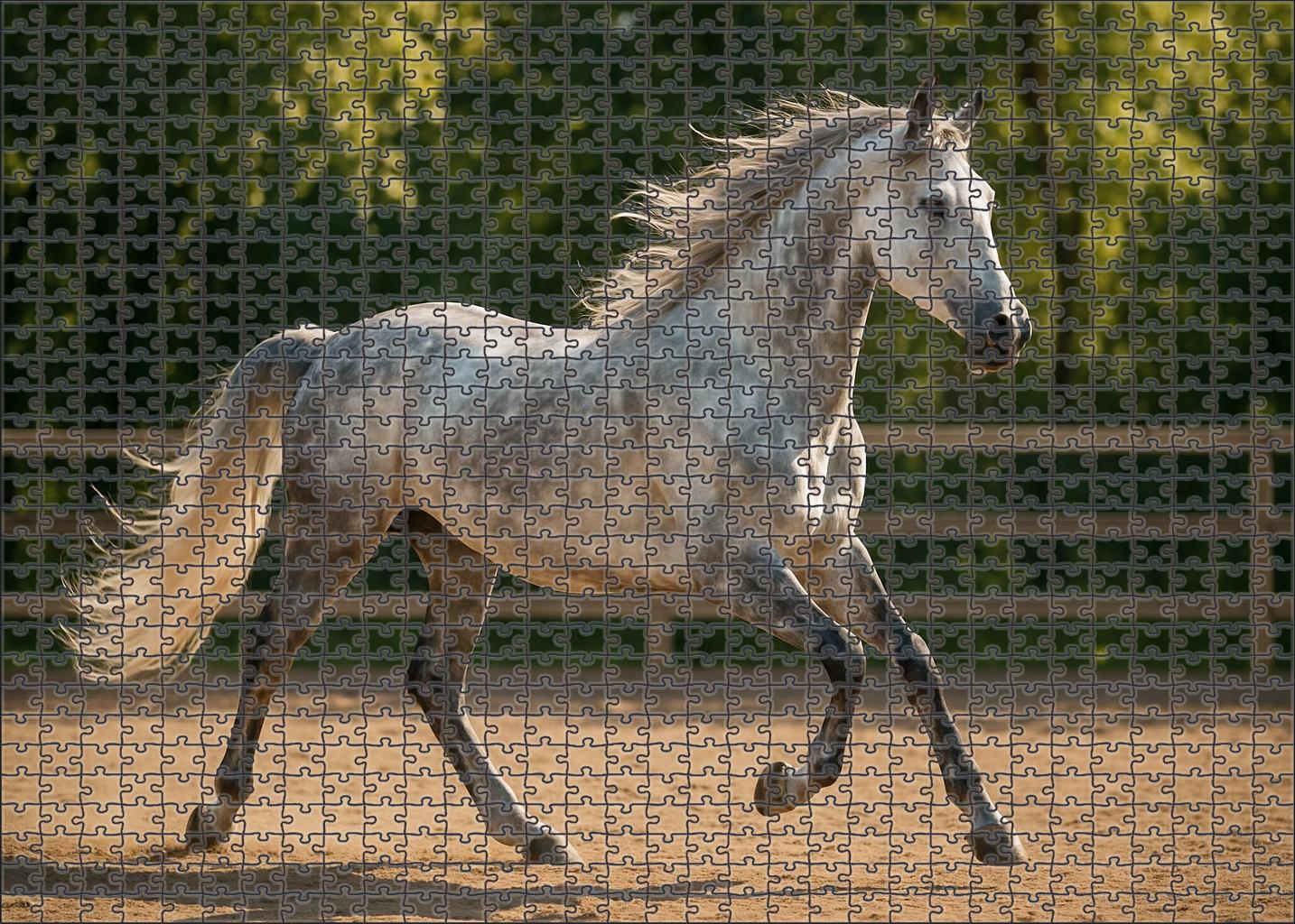 Willowbrook Silver Charm Graceful Dapple Gray Mare With Fluid Dressage Movements Easy Puzzles