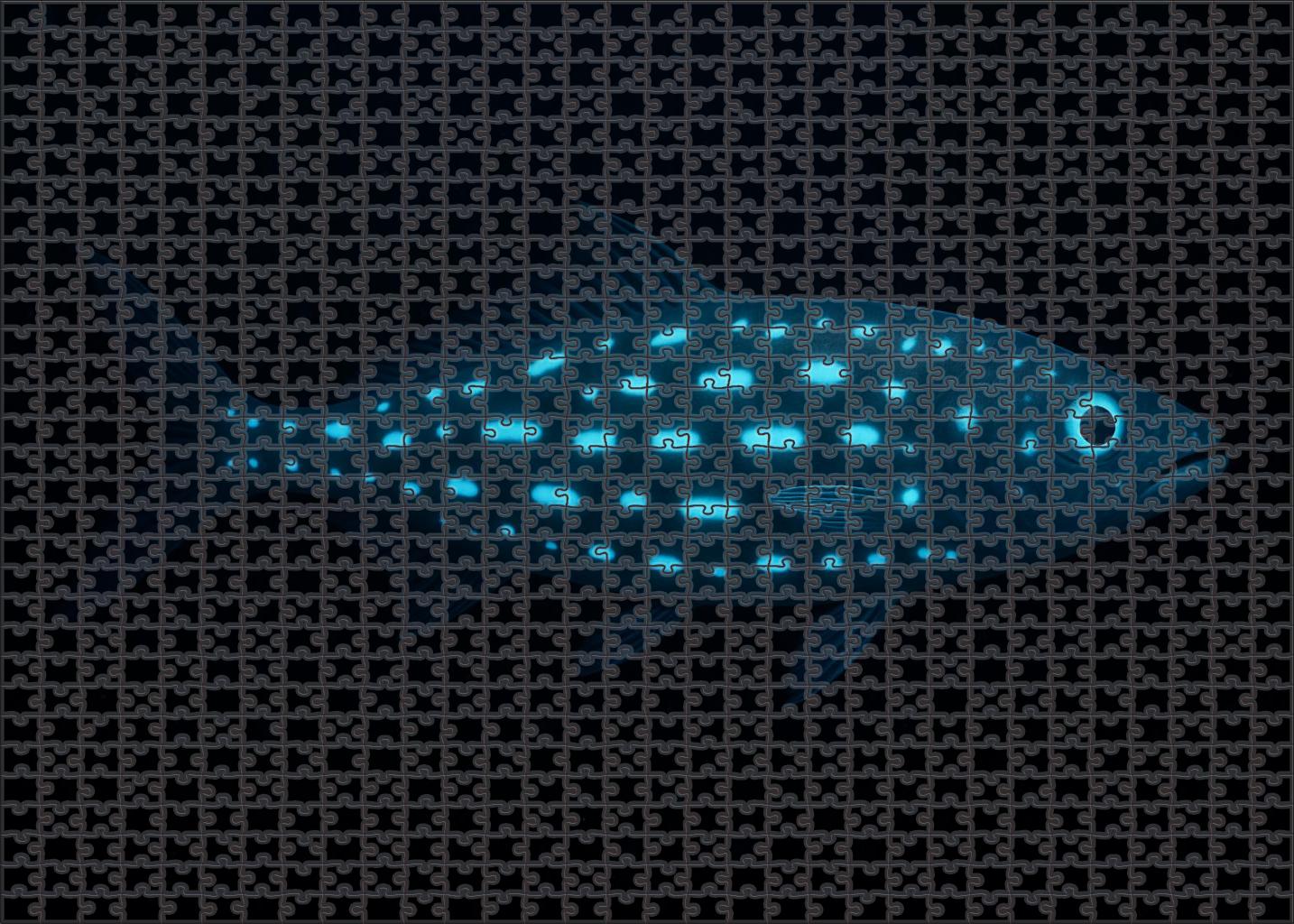 Spindle-spotted Driftfish Deep-sea Fish With Radiant Patterns Puzzle Fun