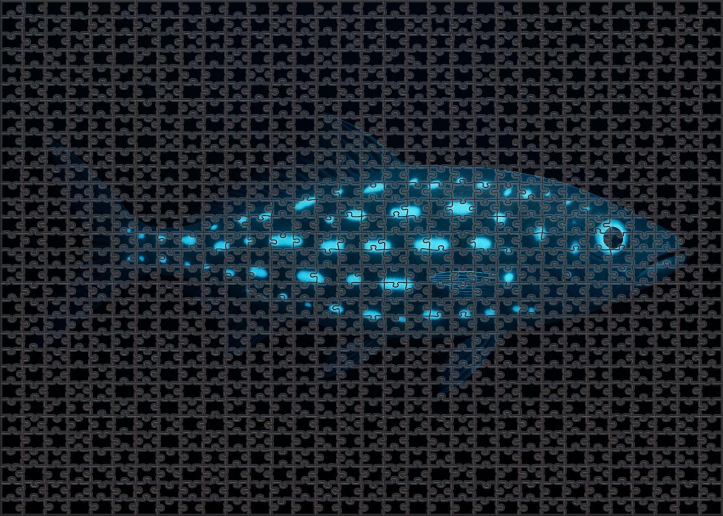 Spindle-spotted Driftfish Deep-sea Fish With Radiant Patterns Puzzle Fun