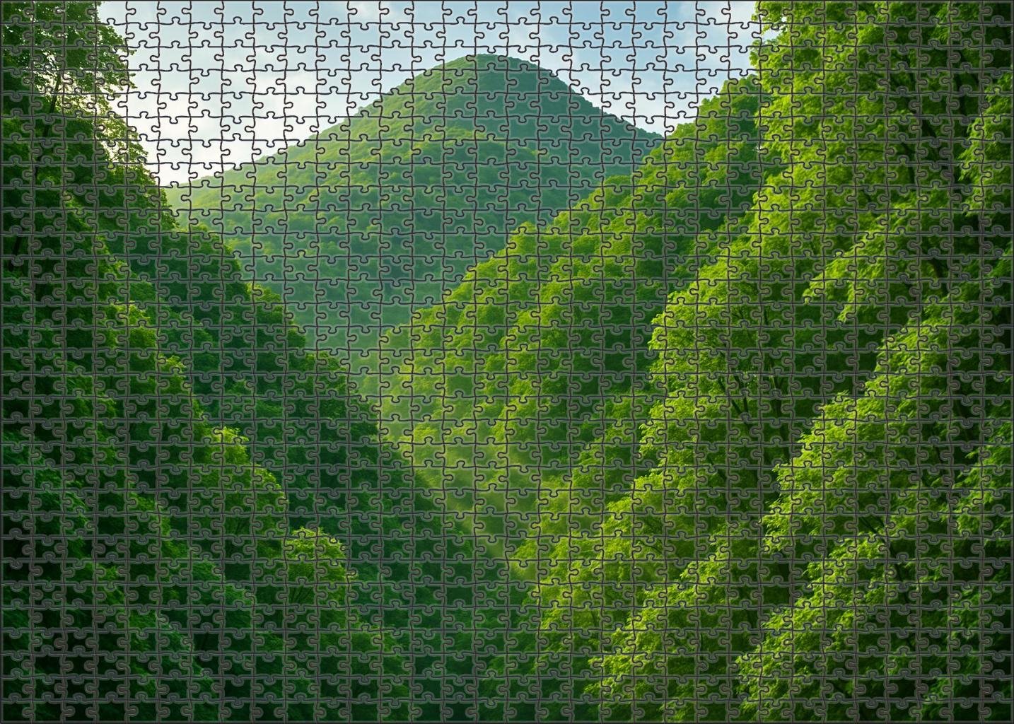Emerald Canopy Slopes 500 Piece Puzzle
