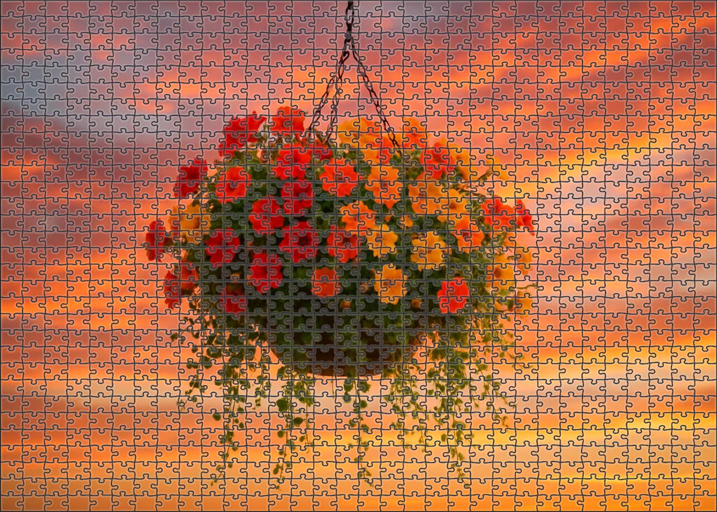 Sunset Glow Hanging Basket Challenging Puzzles