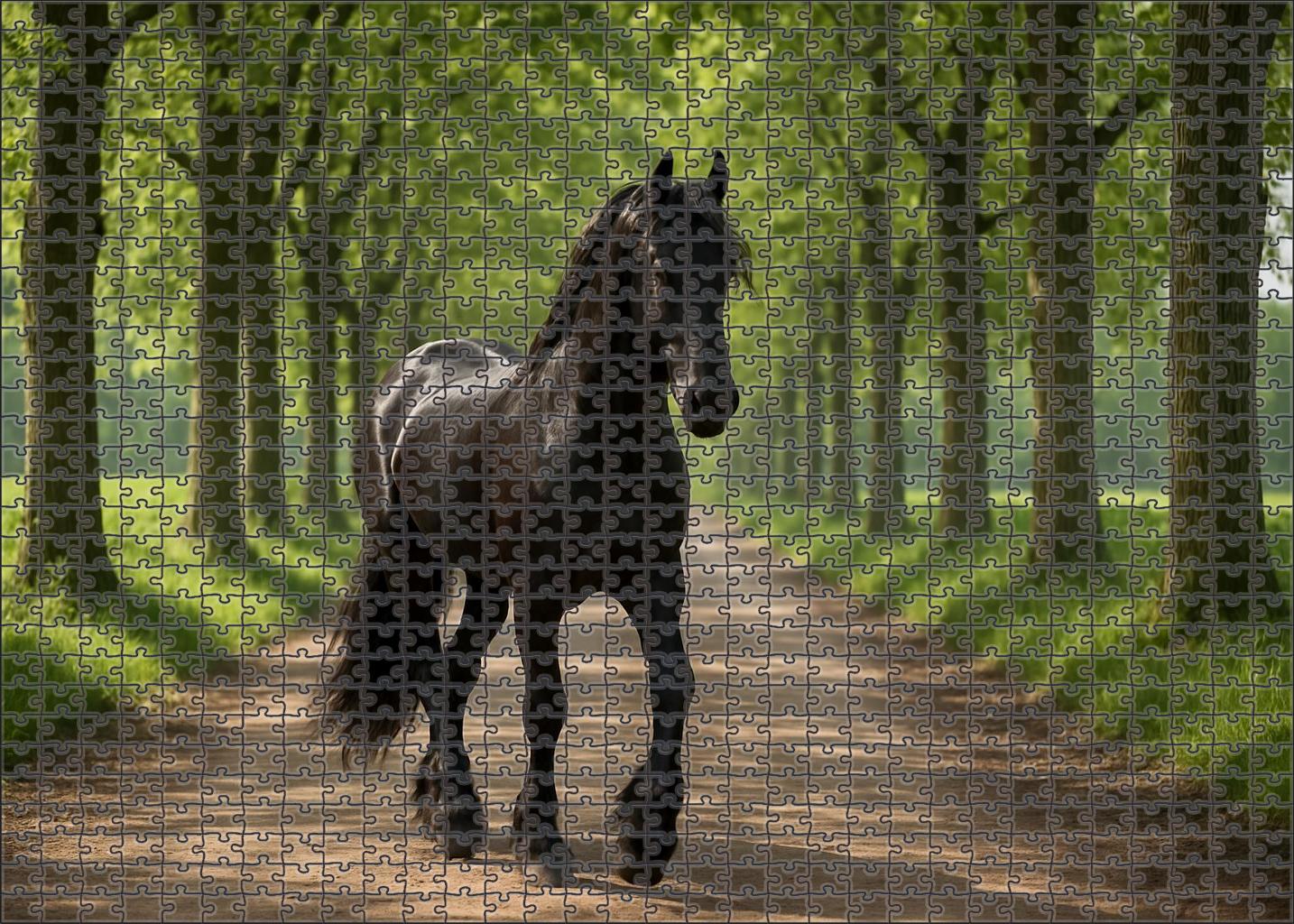 Midnight Velvet Gaiter Glossy Black Tennessee Walker Stallion With Smooth Rhythm Custom Jigsaw Puzzle