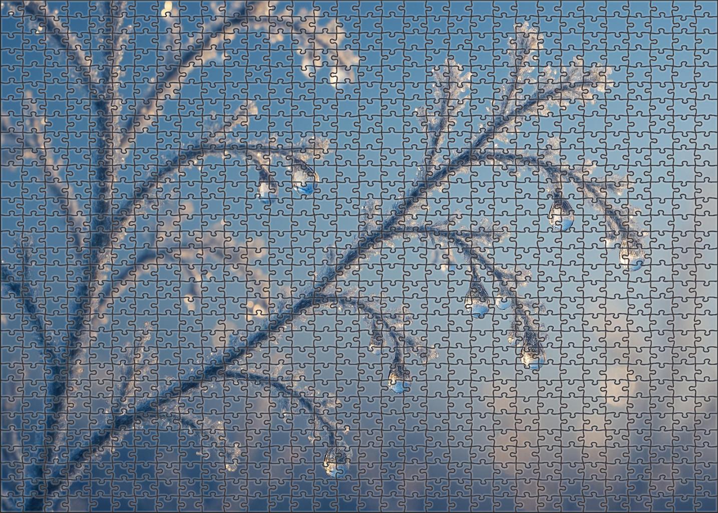 Icy Morning Glimmer Frosted Foliage And Sparkling Dewdrops 100 Piece Puzzle