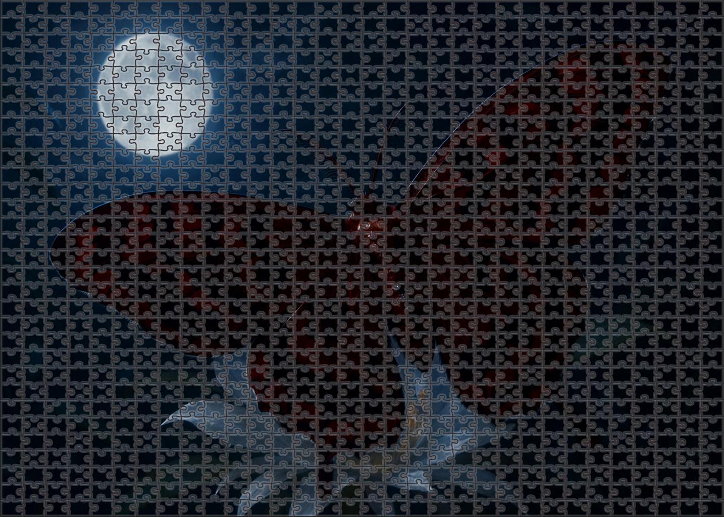 Crimson Phantom Moth Nocturnal Flyer With Iridescent Wing Patterns Large Format Puzzle