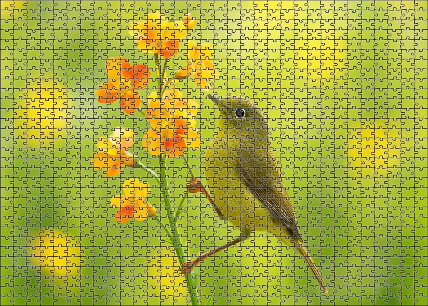 Olive-backed Sunbird Tiny Nectar Collector Challenging Puzzles