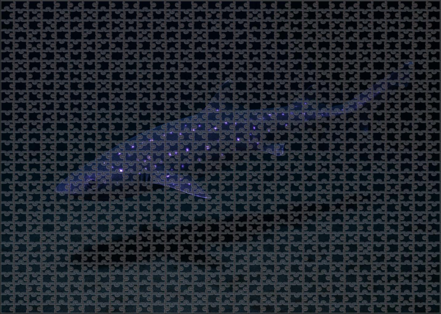 Violet-spotted Lanternshark Small Deepwater Shark With Luminescent Markings Easy Puzzles