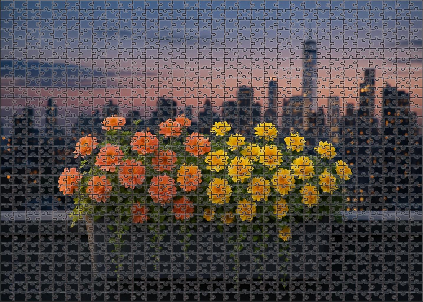 Sunset Terrace Planter Puzzle Collection