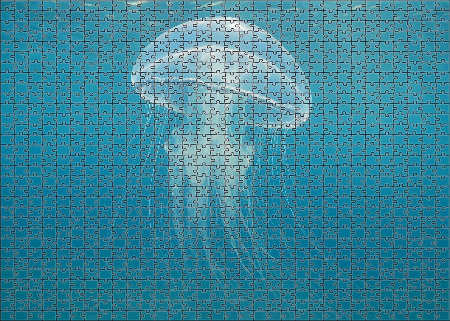 Silver Veil Jellyfish Graceful Pelagic Drifter Family Puzzles