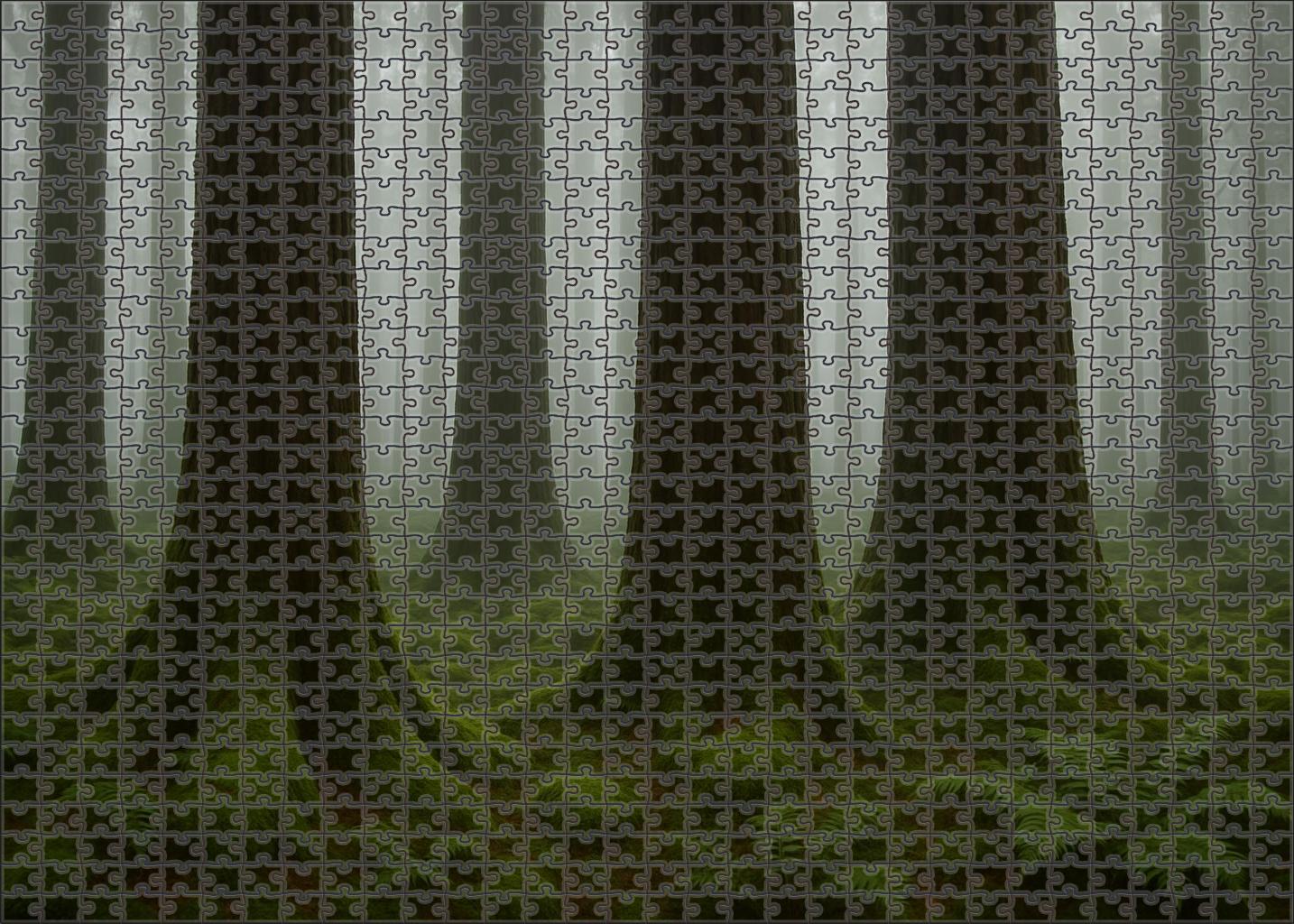 Misty Redwood Glade Custom Jigsaw Puzzle