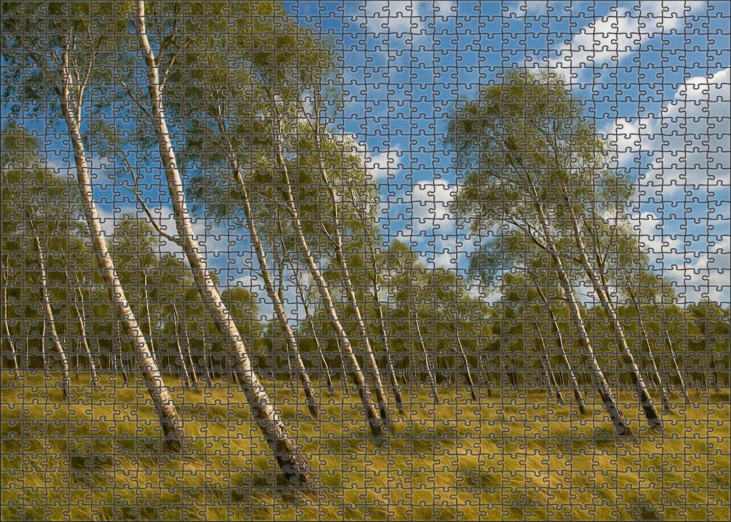 Wind-swept Birch Expanse Custom Jigsaw Puzzle