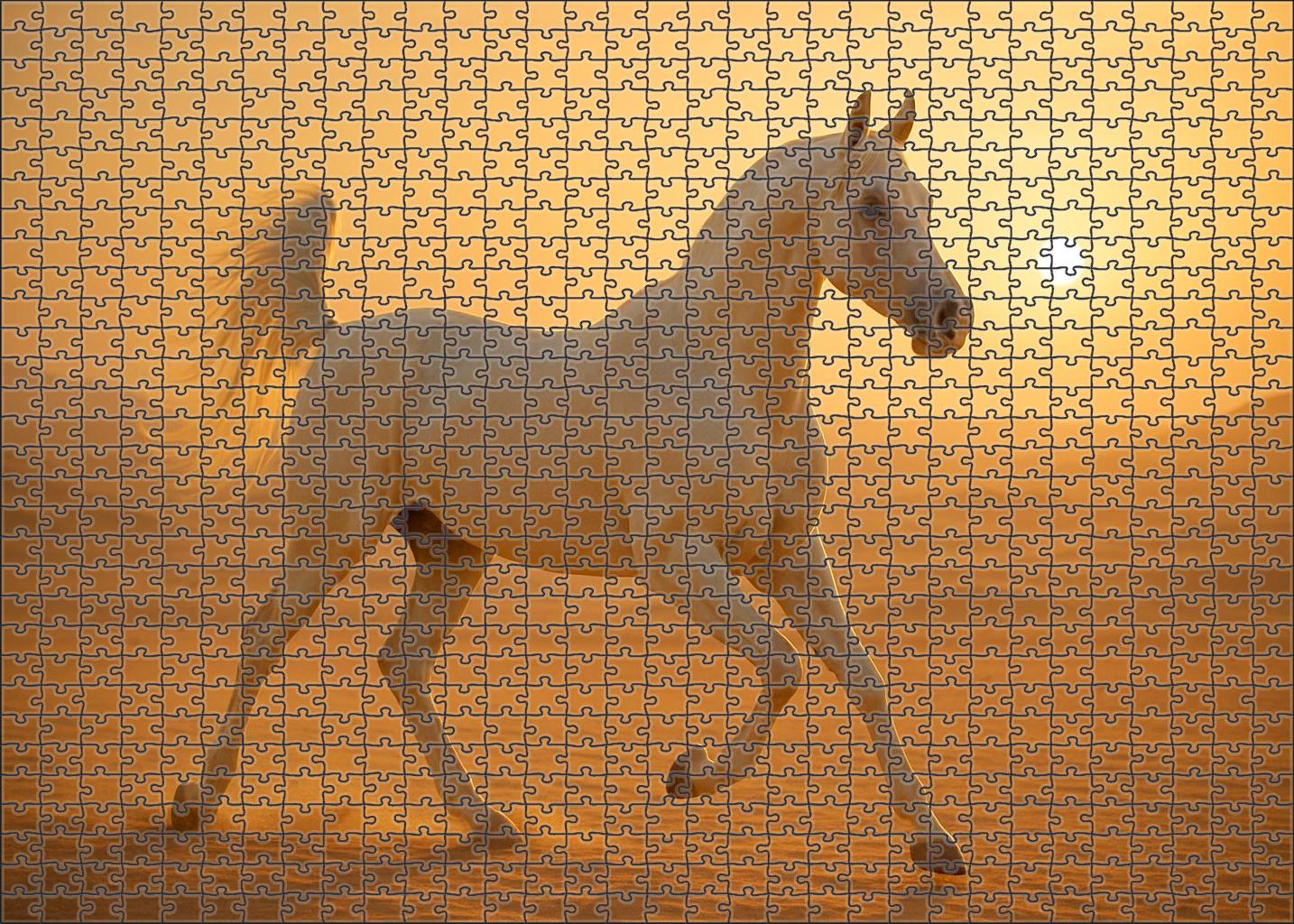Ivory Silk Arabian Large Format Puzzle