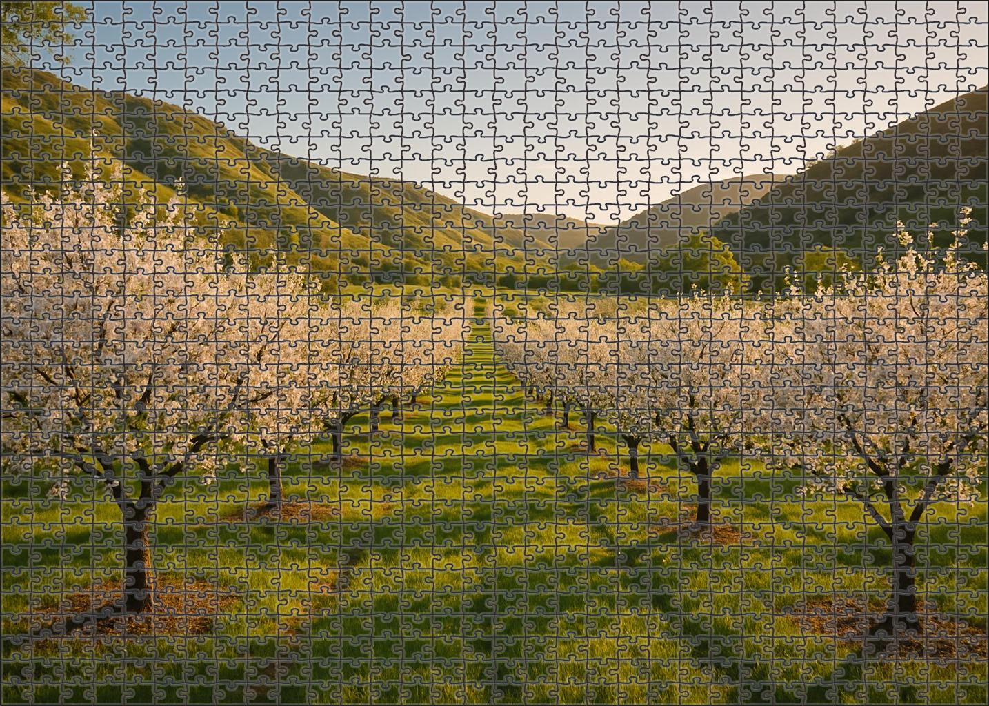 Sunlit Valley Orchard 200 Piece Puzzle