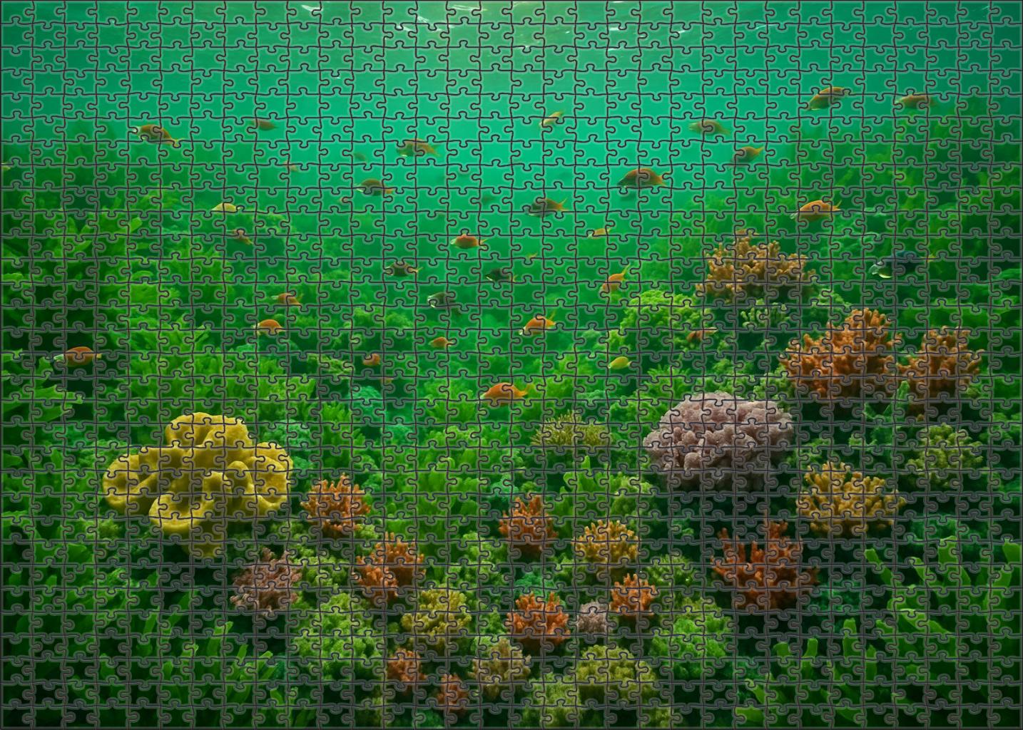 Verdant Shallow Reef Garden Custom Jigsaw Puzzle